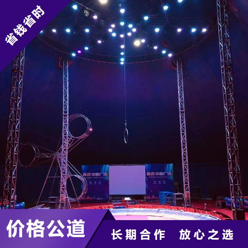 马戏团/羊驼,动物展览秀知名公司