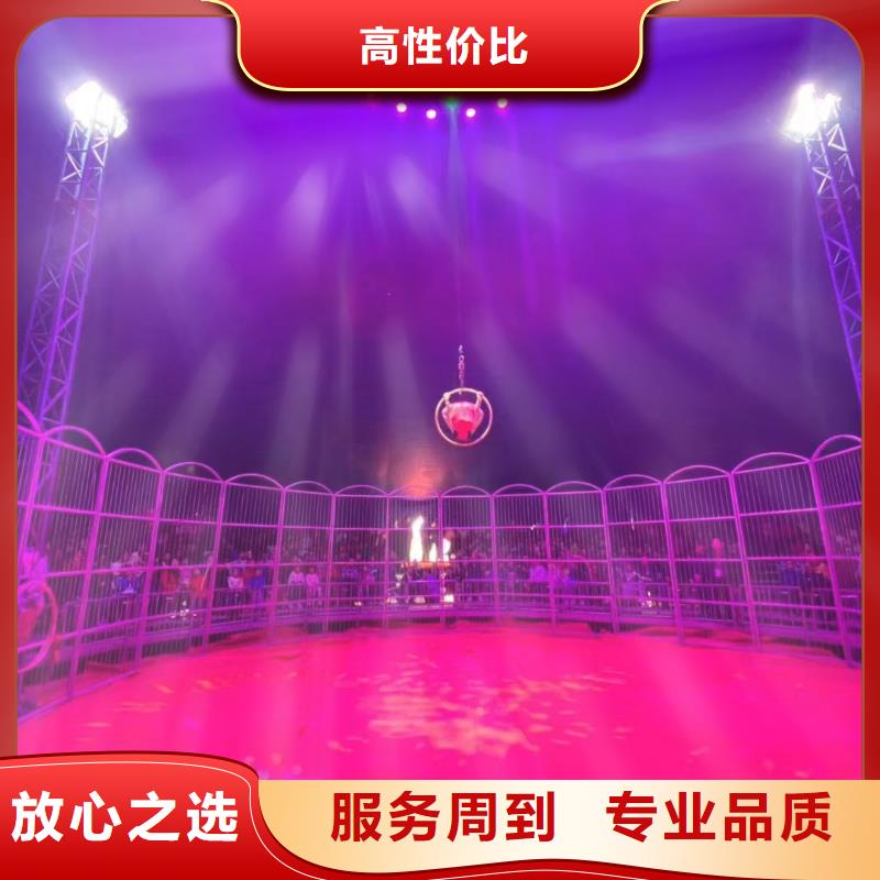 马戏团/羊驼【马戏团表演出租租赁】