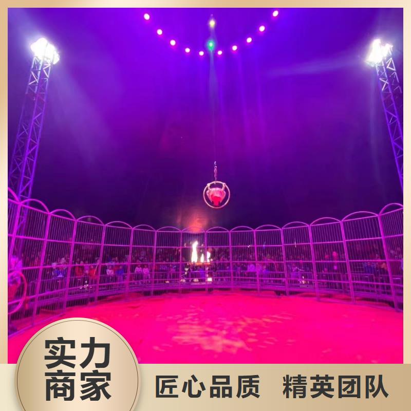 马戏团/羊驼,动物展览秀知名公司
