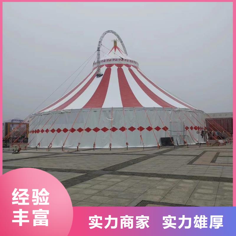 【马戏团/羊驼】海狮表演租赁值得信赖
