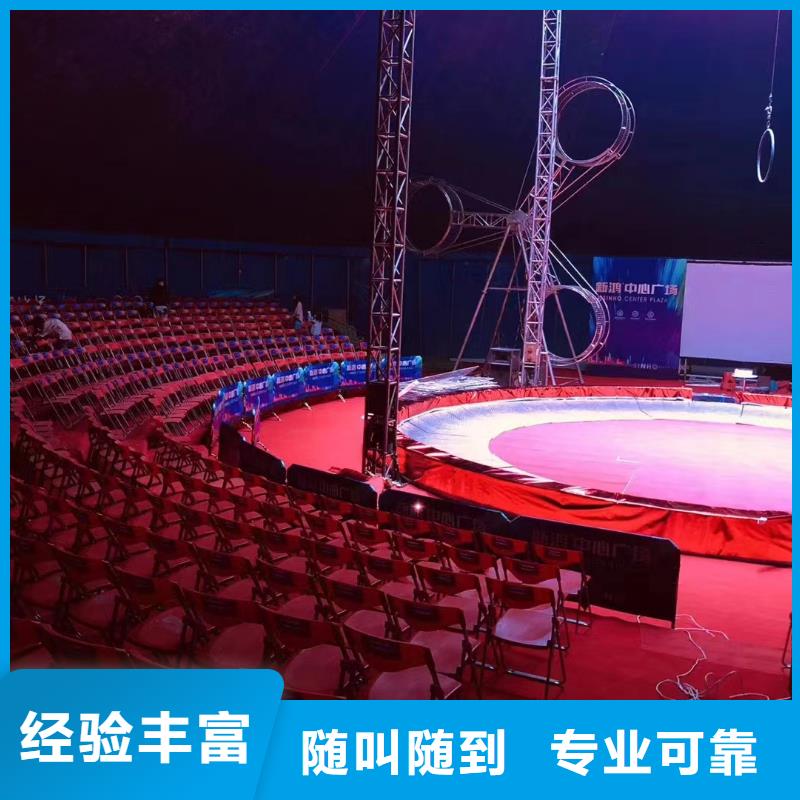 马戏团/羊驼_环球飞车表演出租随叫随到