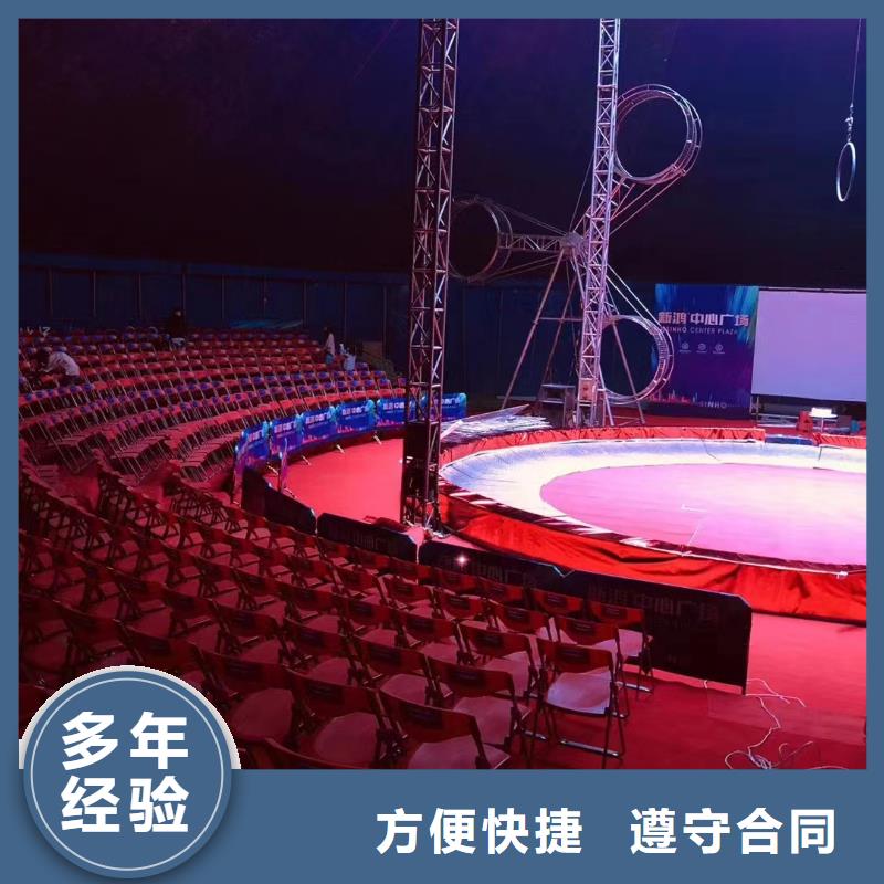 马戏团/羊驼海狮演出优质服务