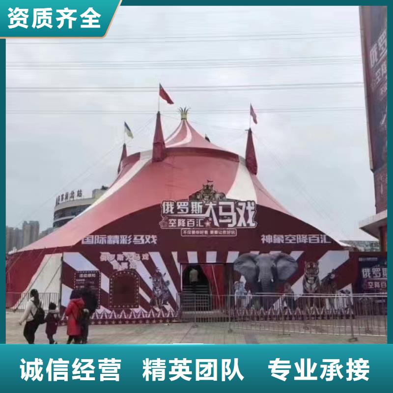 马戏团/羊驼出租表演羊驼省钱省时