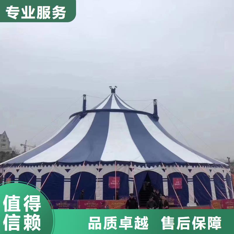 马戏团/羊驼 企鹅租赁好评度高