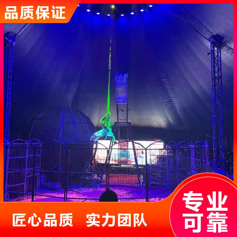 马戏团/羊驼出租表演萌宠欢迎询价