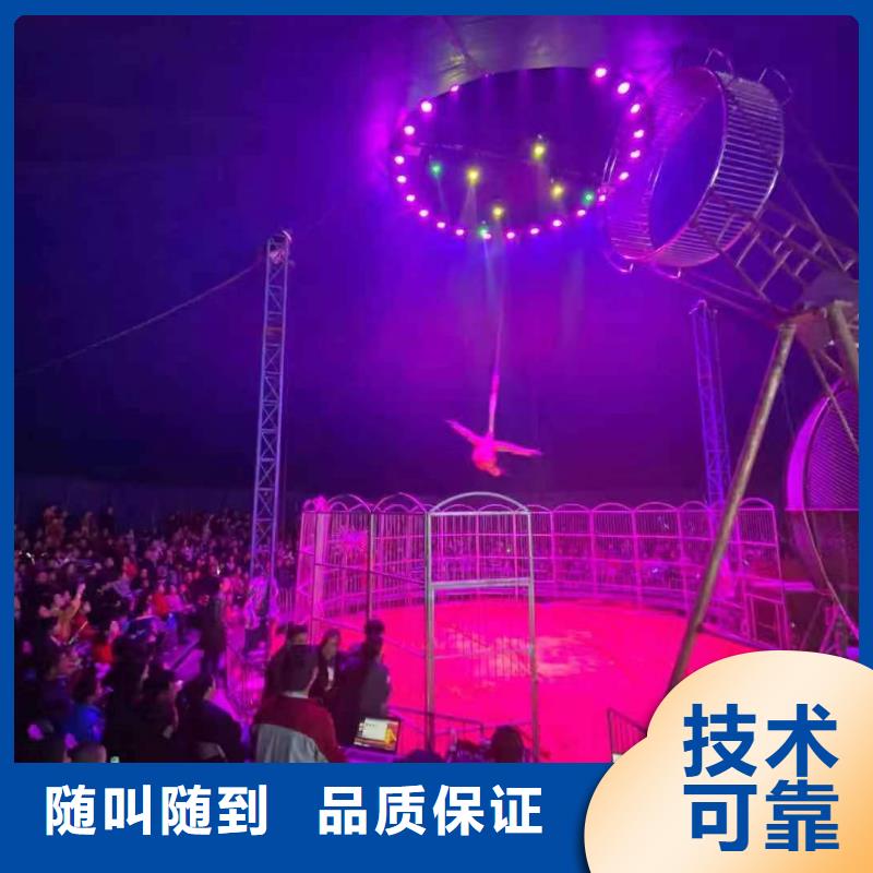 吉祥百鸟展视频-丰县|贾汪|连云港|泰州|常州|淮安|扬州兮洋吉祥百鸟展_ 兮洋动物展览(徐州市分公司)