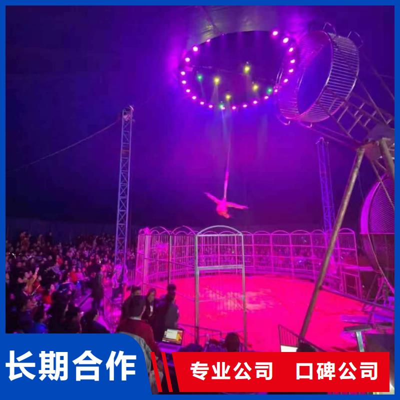 马戏团/羊驼鹦鹉表演效果满意为止