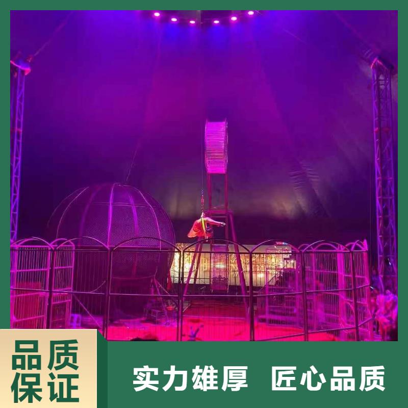 马戏团/羊驼海狮表演出租品质优