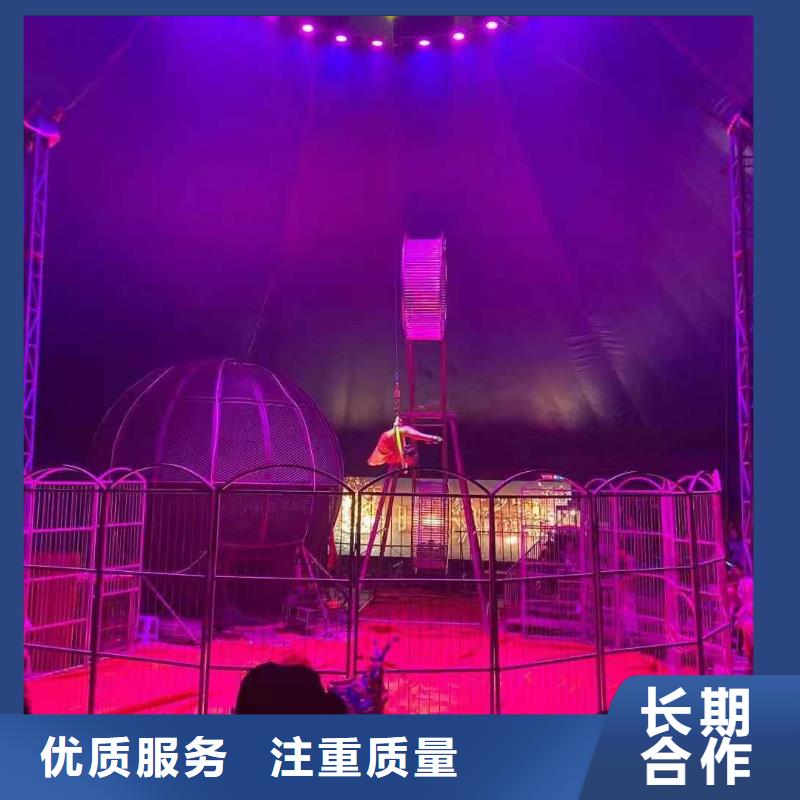 马戏团/羊驼,景区杂技表演多年经验