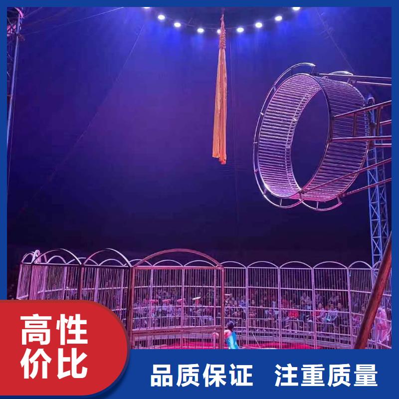 马戏团/羊驼,【企鹅演出】靠谱商家