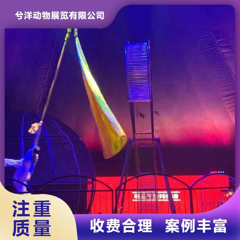 马戏团/羊驼马戏团表演出租租赁随叫随到