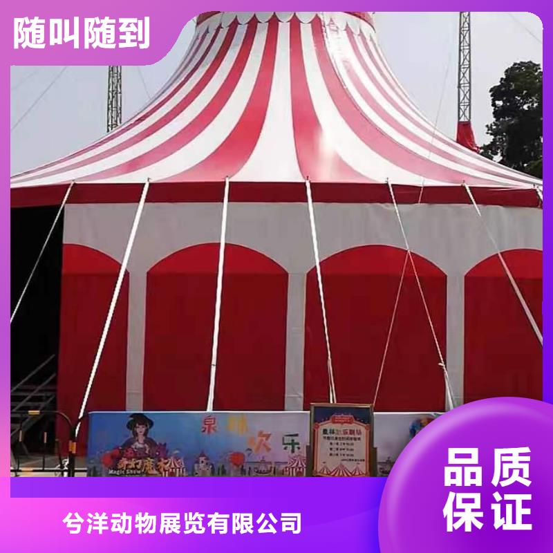马戏团/羊驼【马戏团表演出租租赁】