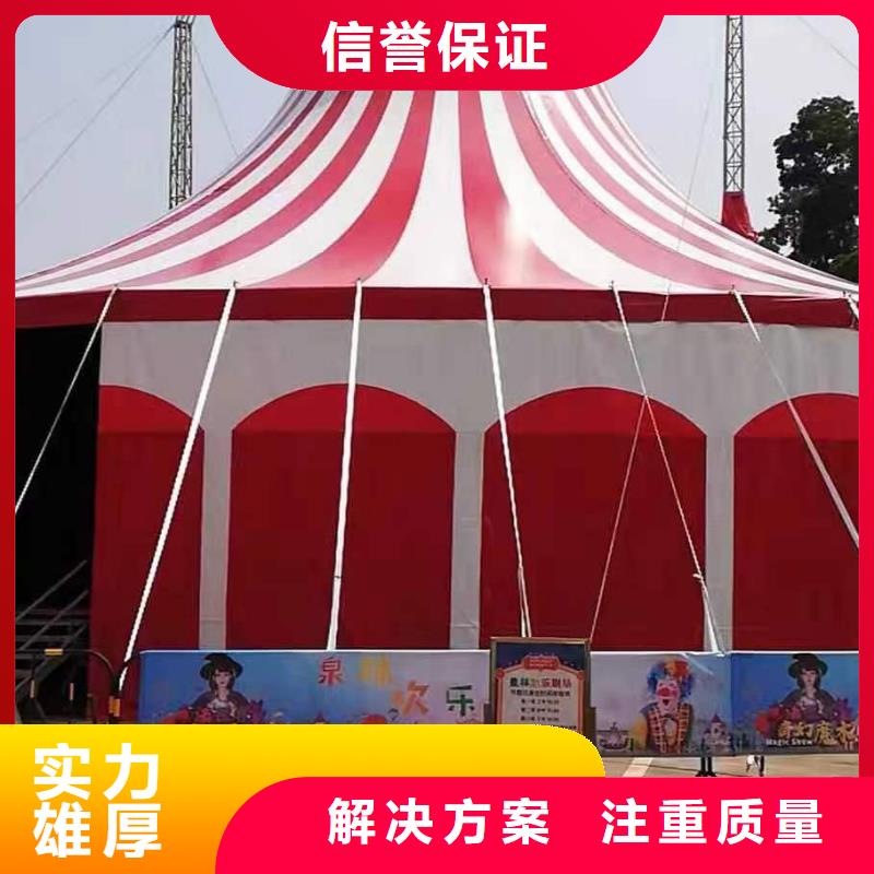 马戏团/羊驼海狮表演出租放心