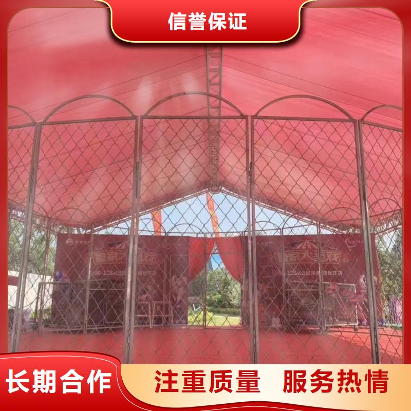 马戏团/羊驼,【海狮表演租赁】经验丰富
