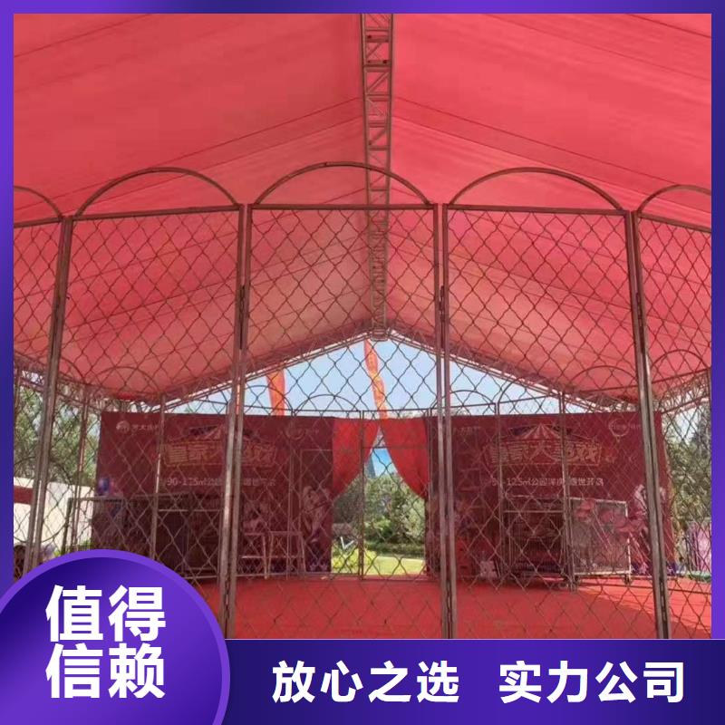 马戏团/羊驼出租羊驼比同行便宜