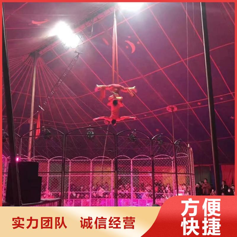 马戏团/羊驼出租表演萌宠欢迎询价