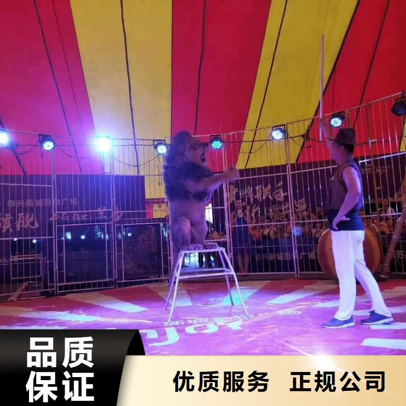 吉祥百鸟展视频-丰县|贾汪|连云港|泰州|常州|淮安|扬州兮洋吉祥百鸟展_ 兮洋动物展览(徐州市分公司)
