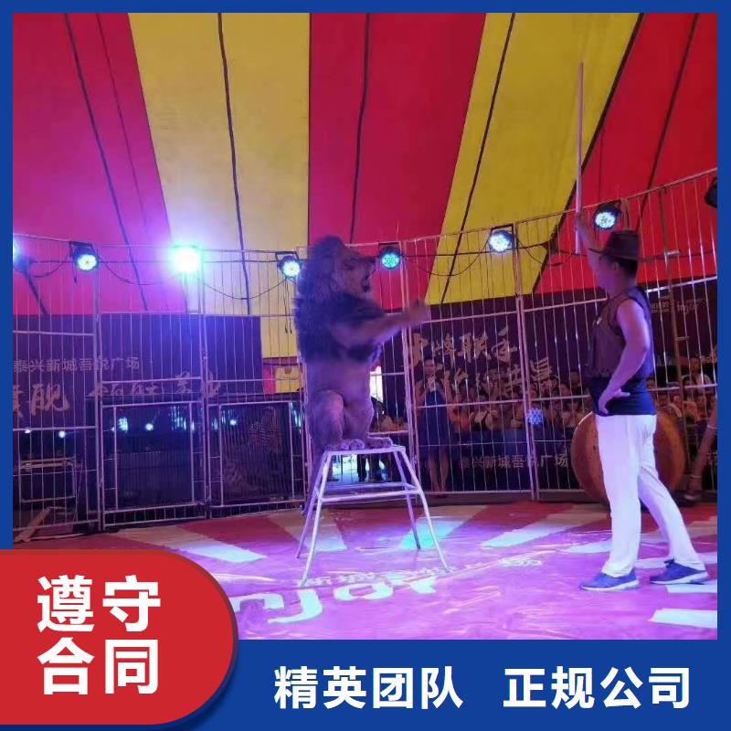 吉祥百鸟展视频-吉祥百鸟展(兮洋)覆盖地域湖北省随州市广水|随县|恩施|鄂州|荆州|武汉|黄石|襄阳|黄冈