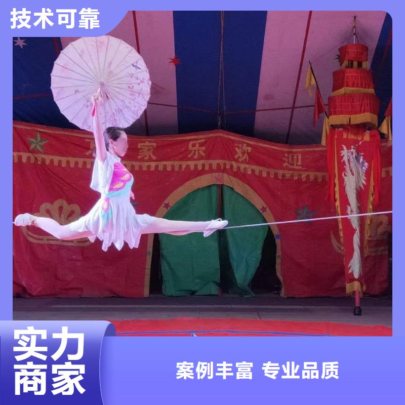 马戏团/羊驼海狮表演出租放心