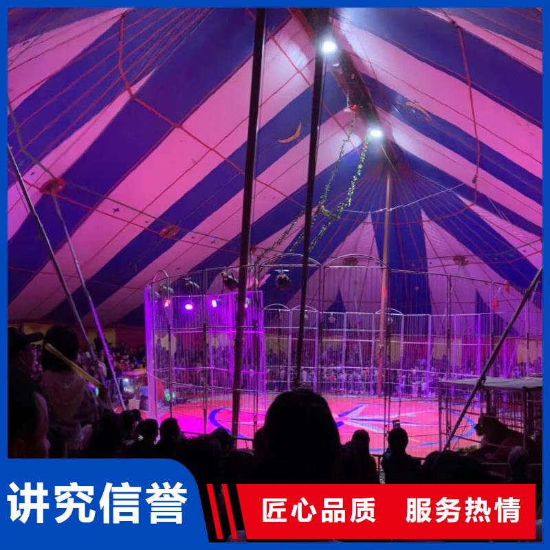 马戏团/羊驼-企鹅出租2025专业的团队