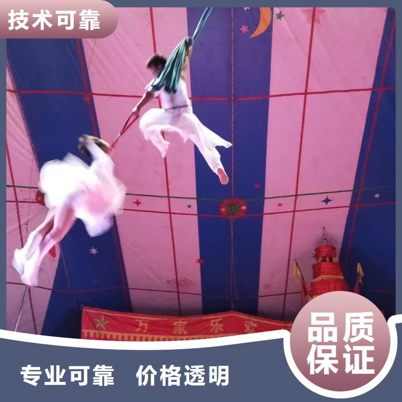 马戏团/羊驼小马戏表演出租欢迎合作