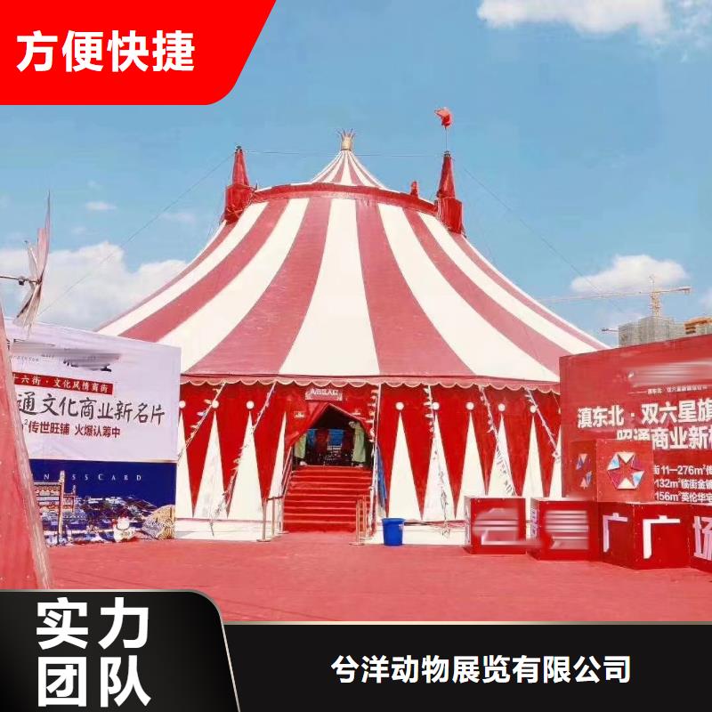 马戏团/羊驼海狮表演出租技术成熟