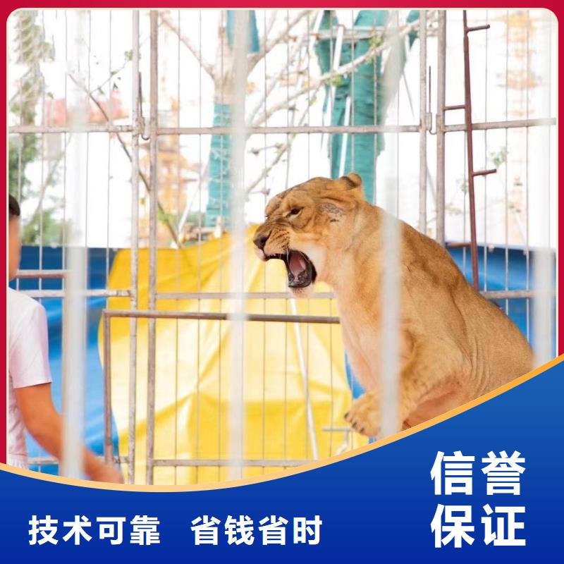 吉祥百鸟展视频-吉祥百鸟展(兮洋)覆盖地域湖北省随州市广水|随县|恩施|鄂州|荆州|武汉|黄石|襄阳|黄冈