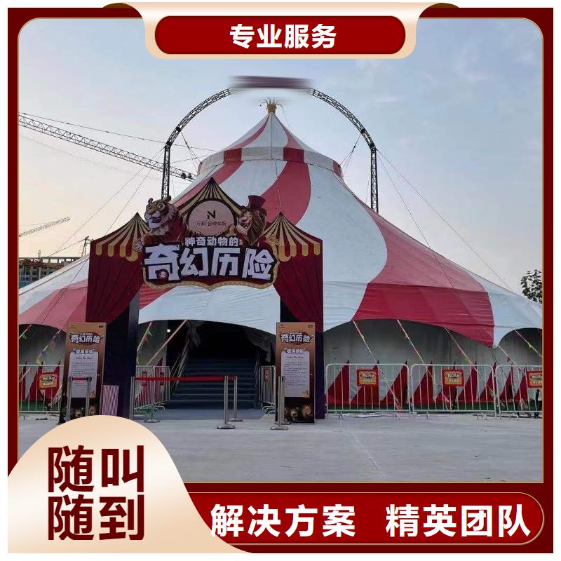 马戏团/羊驼_出租海狮表演好评度高