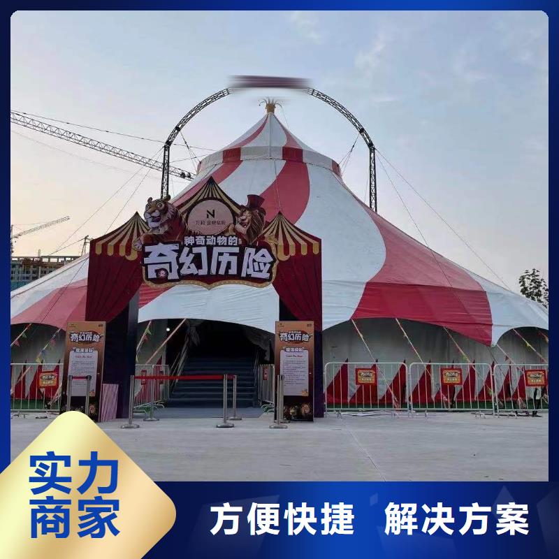 马戏团/羊驼海狮演出优质服务