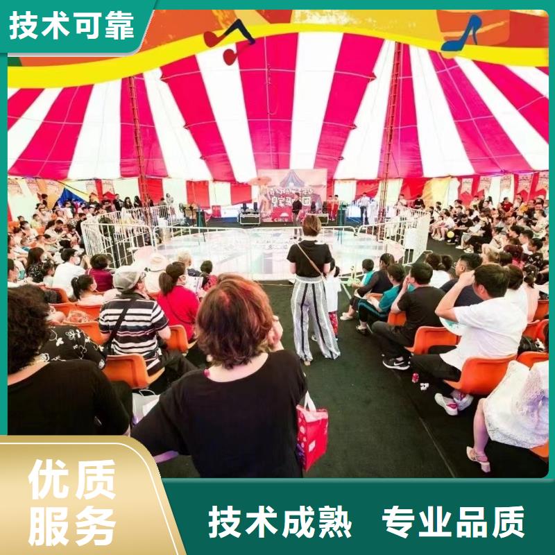 马戏团/羊驼动物表演技术好