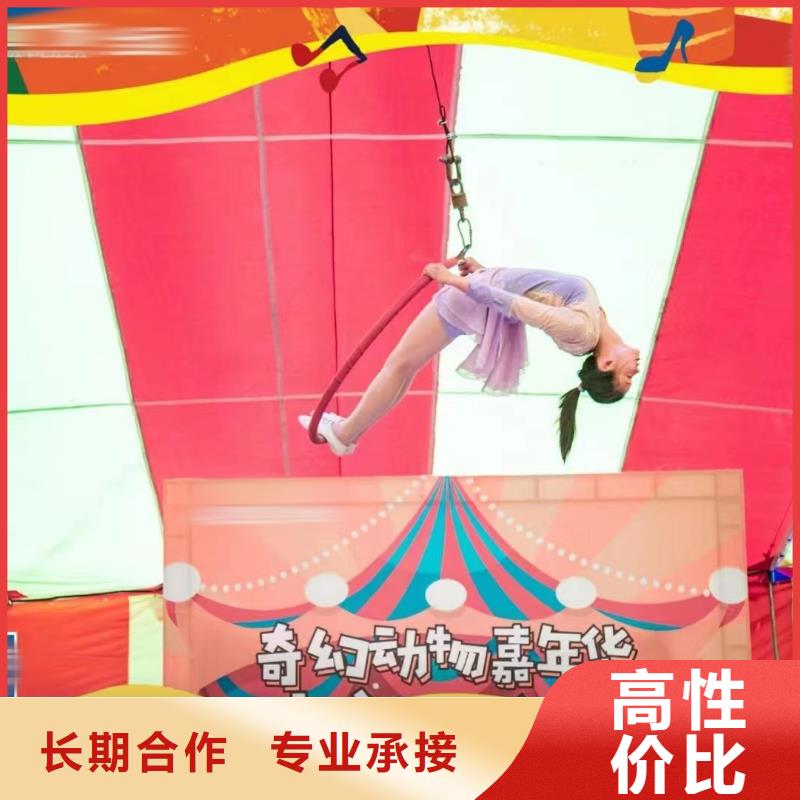 马戏团/羊驼马戏团表演2025公司