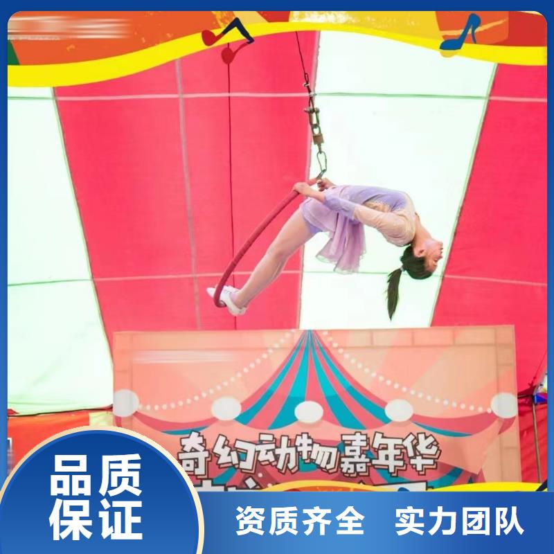 马戏团/羊驼出租动物表演专业