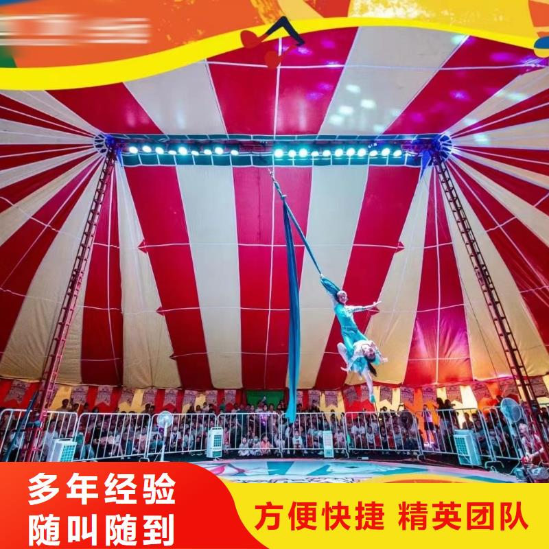 吉祥百鸟展视频-吉祥百鸟展-兮洋动物展览(抚州市分公司)服务区域广昌|乐安|新余|吉安|萍乡|宜春|赣州