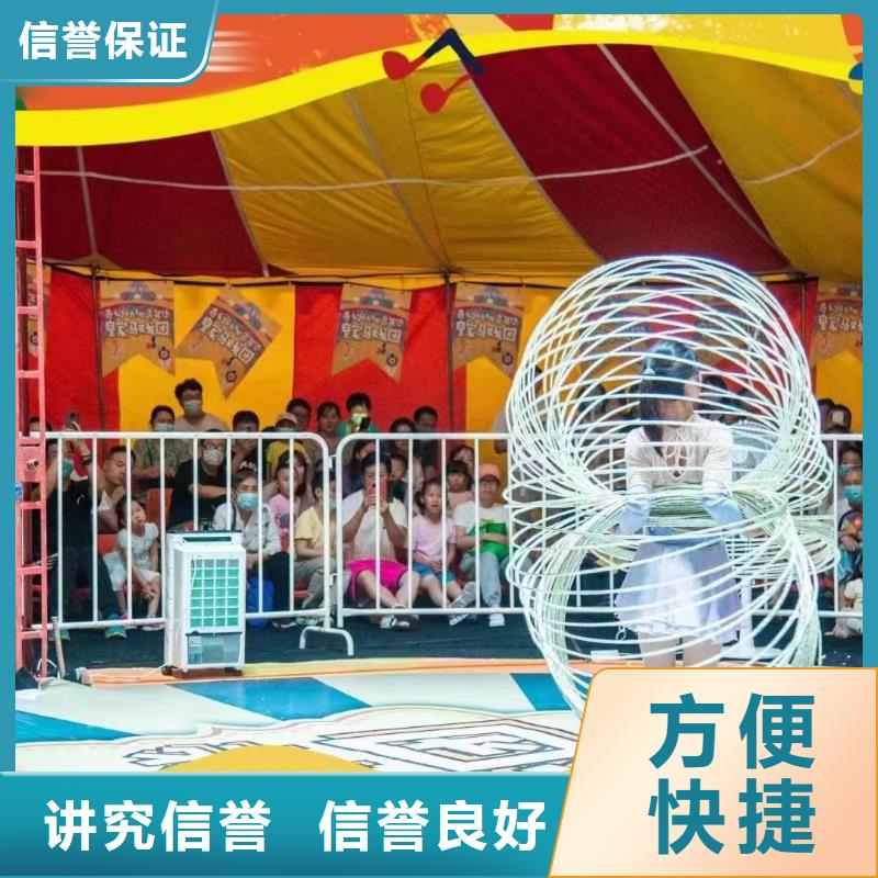 马戏团/羊驼-【出租企鹅表演】服务热情