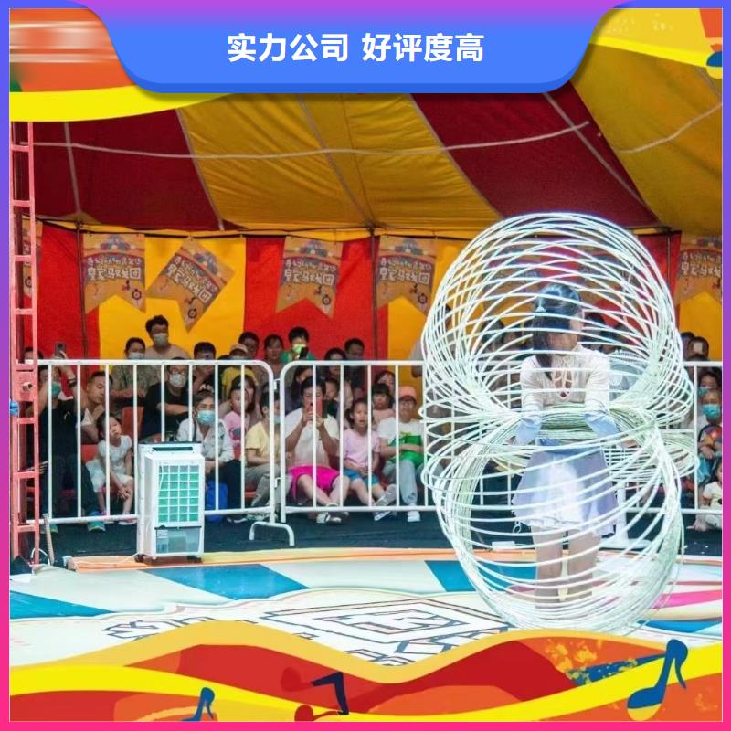 【马戏团/羊驼】_马戏团表演承接
