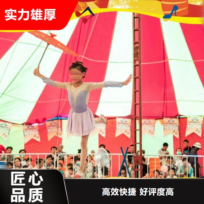 马戏团/羊驼-马戏团表演遵守合同