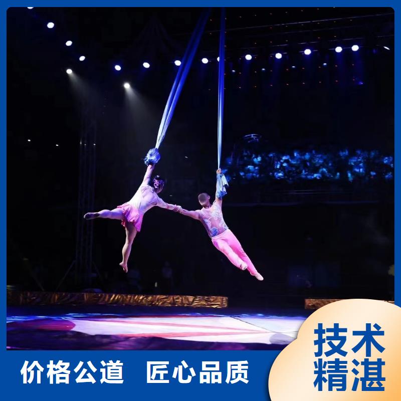 马戏团/羊驼,动物展览秀知名公司