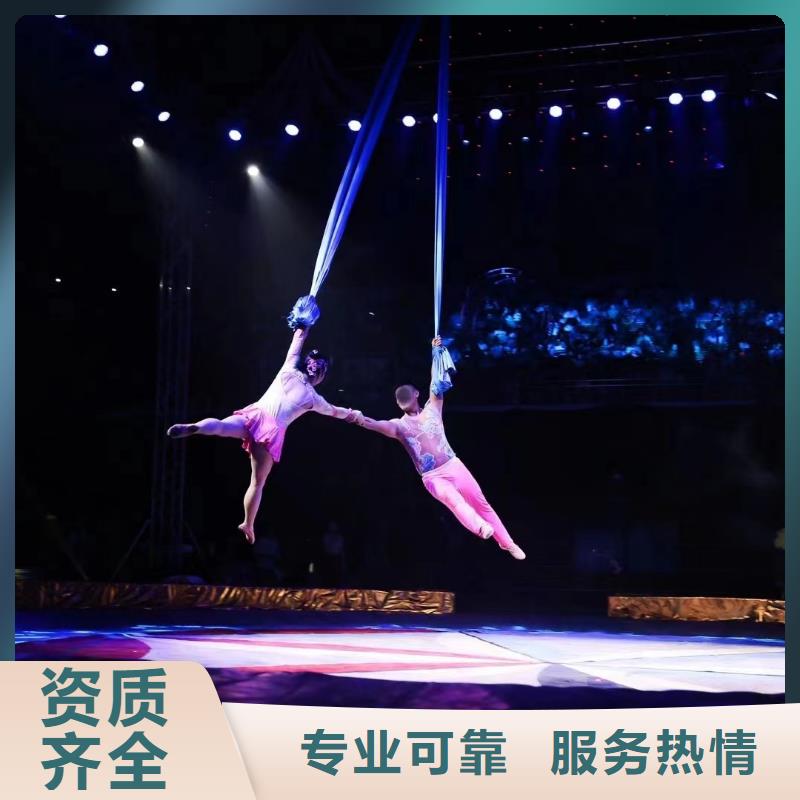 马戏团/羊驼海狮表演出租技术成熟