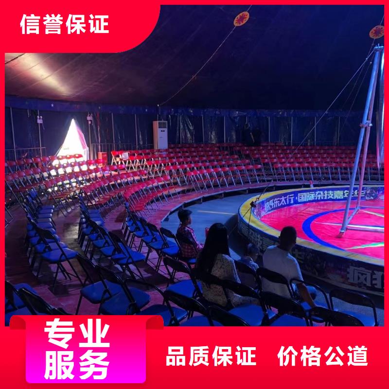 马戏团/羊驼,动物展览秀知名公司