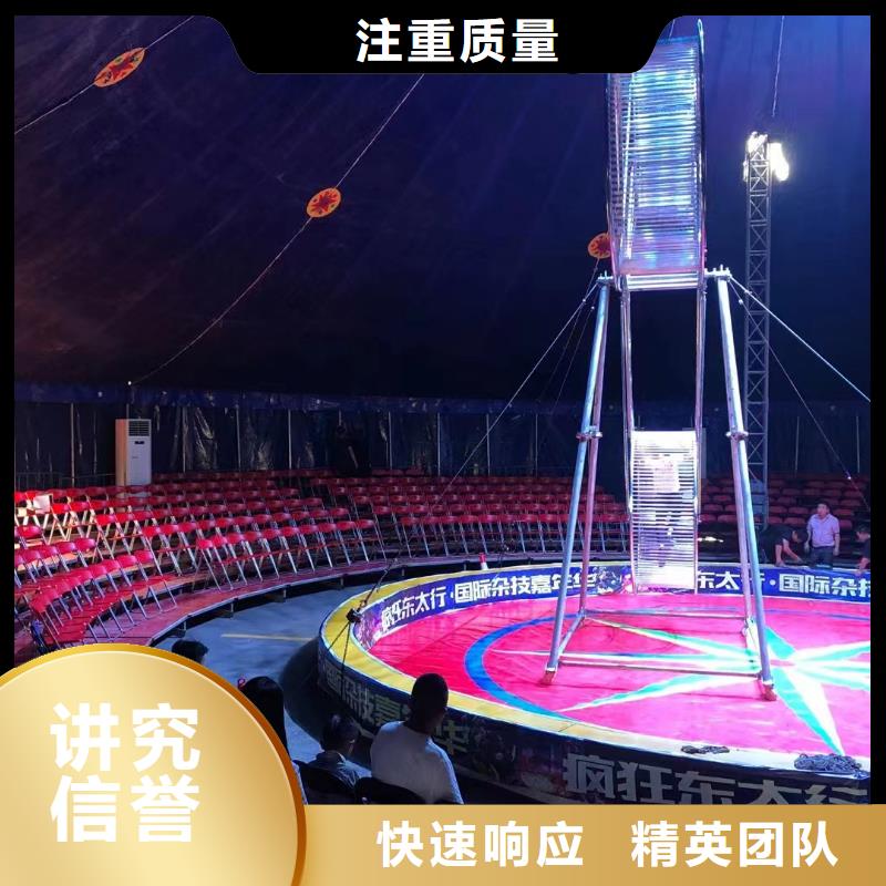 马戏团/羊驼,动物展览秀知名公司