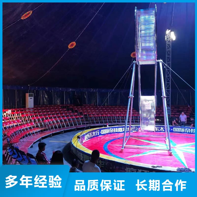 马戏团/羊驼 企鹅租赁好评度高