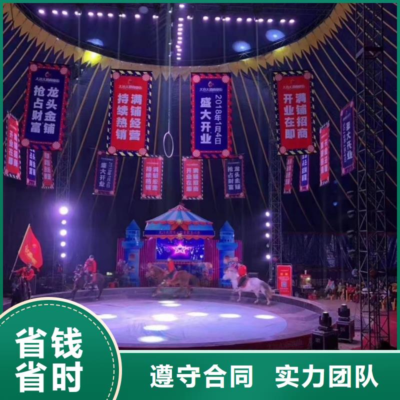 【马戏团/羊驼小香猪宠物出租快速响应】