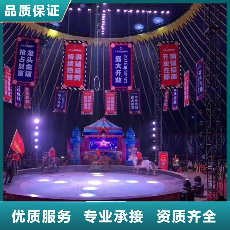 马戏团/羊驼,动物展览秀知名公司