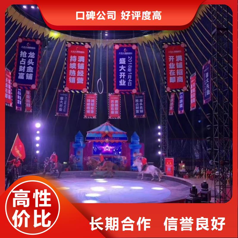 【马戏团/羊驼】_马戏团表演承接