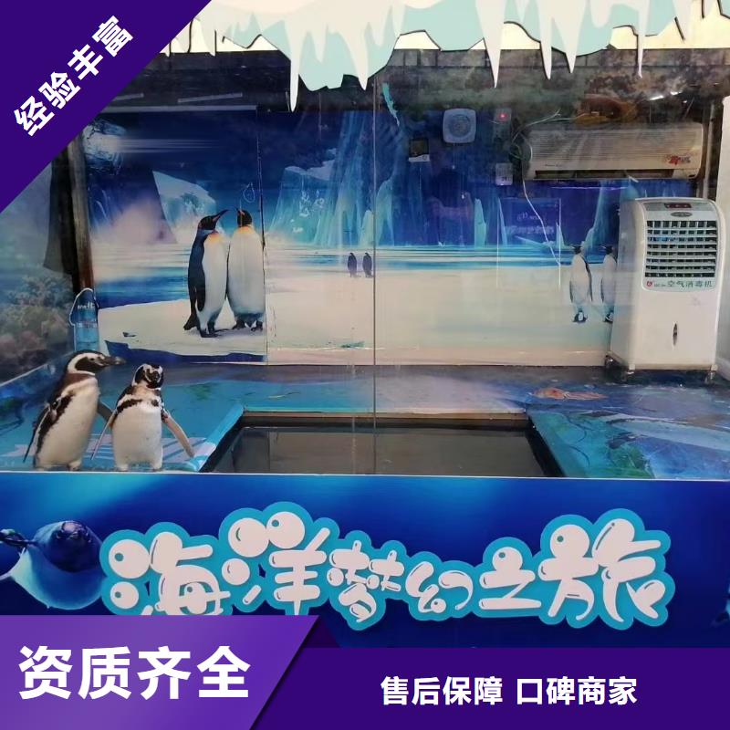 吉祥百鸟展视频-吉祥百鸟展_甘肃省张掖市市场覆盖甘州|临泽|平凉|定西|陇南|甘南|临夏|金昌等