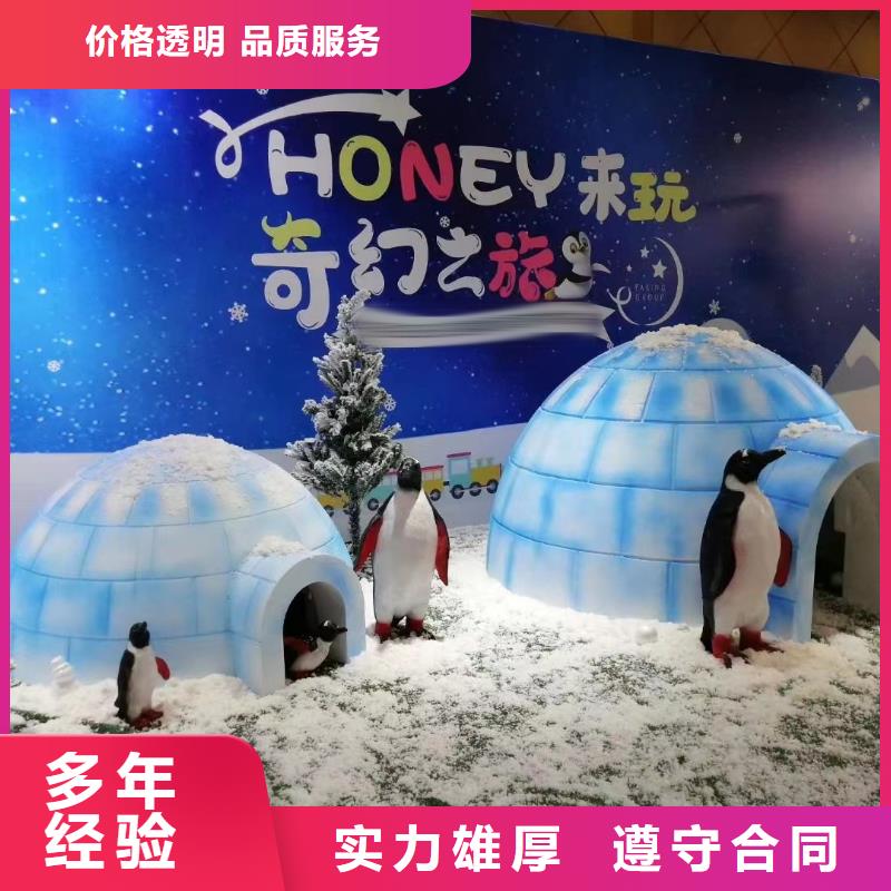 海洋主题动物表演,美人鱼表演放心