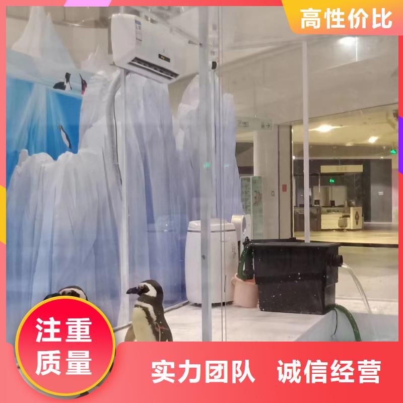 海洋主题动物表演吉祥百鸟展售后保障