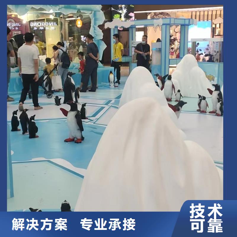 【海洋主题动物表演】 【海狮表演租赁】长期合作