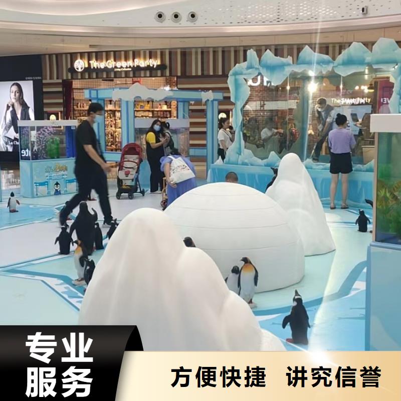 海洋主题动物表演【出租企鹅表演】值得信赖