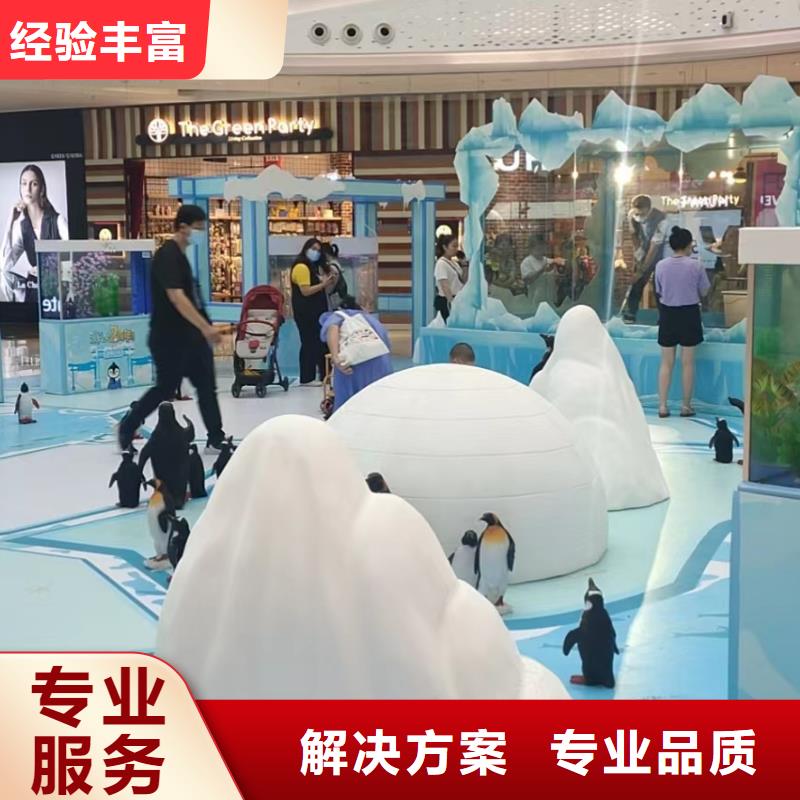 海洋主题动物表演-环球飞车表演出租高性价比
